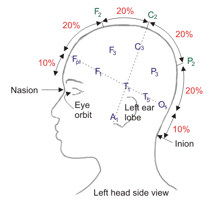 EEG Measurement 脑电图测量