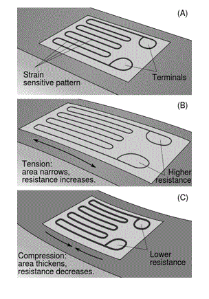 Transducer: Types of Transducers And What They Are 换能器:传感器的类型以及它们是什么