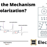 Mechanism of Polarization 极化机制